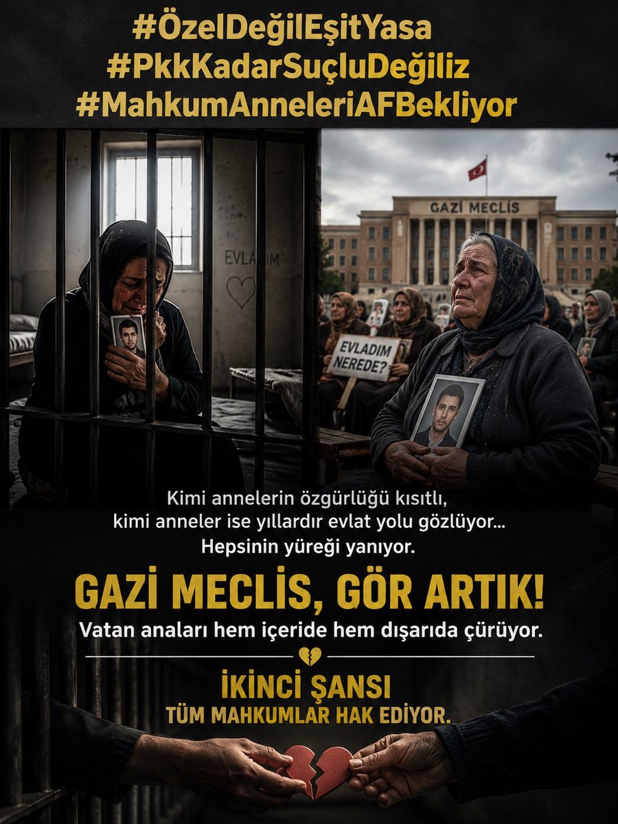 Devin Mutlu tweet media
