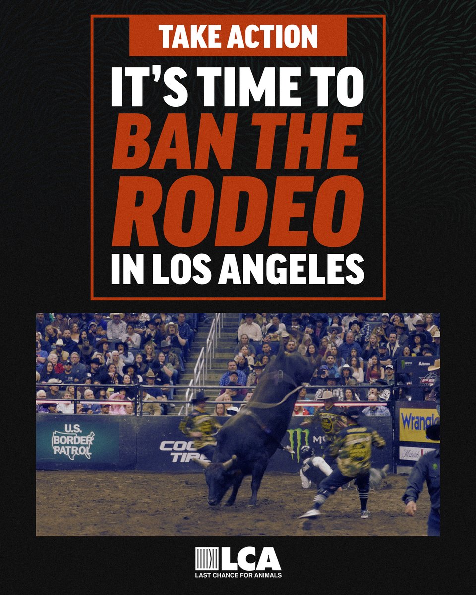 Last Chance for Animals tweet media