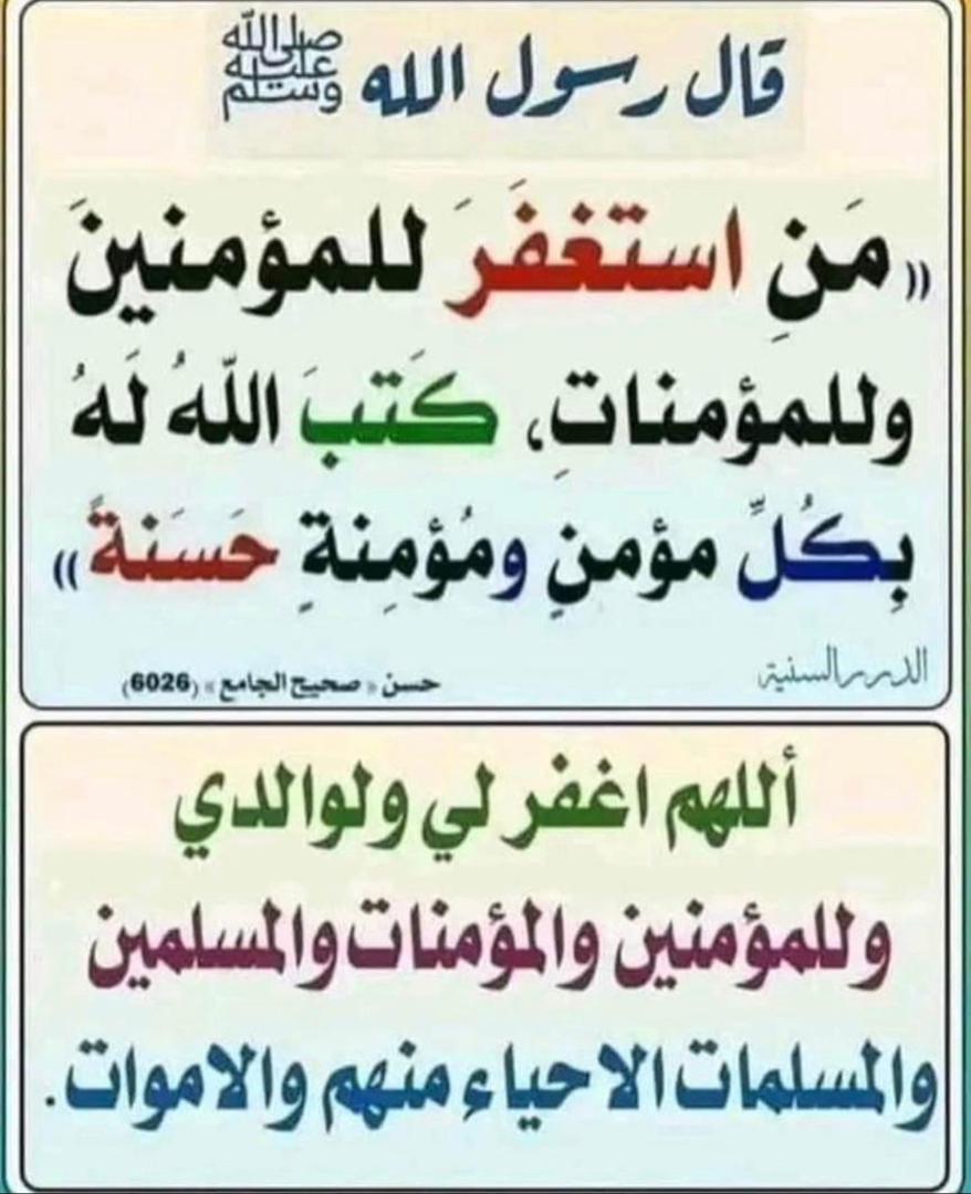علوي الكاف tweet media