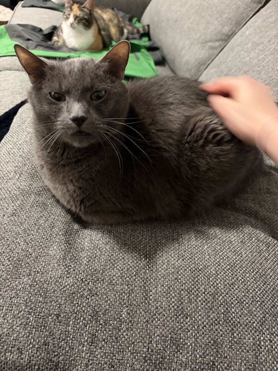 xiusdays's tweet photo. he’s loafed so perfectly https://t.co/t4nyQAaDnN