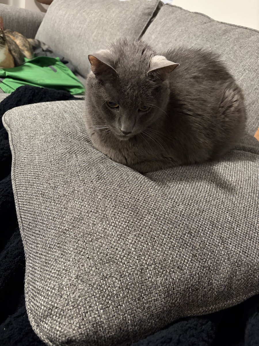xiusdays's tweet photo. he’s loafed so perfectly https://t.co/t4nyQAaDnN