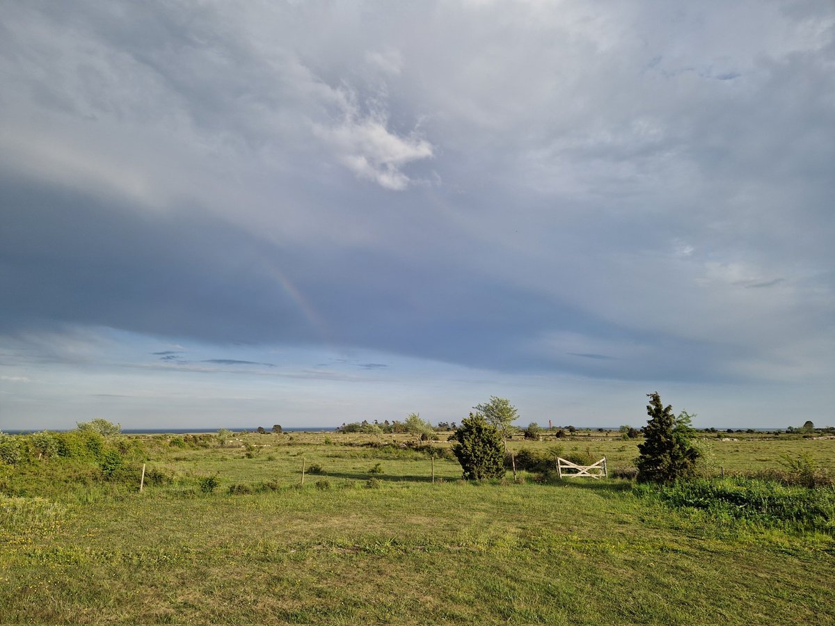 rosevalley52's tweet photo. Now... Öland, an island easth of Sweden https://t.co/tygGb9JqTw