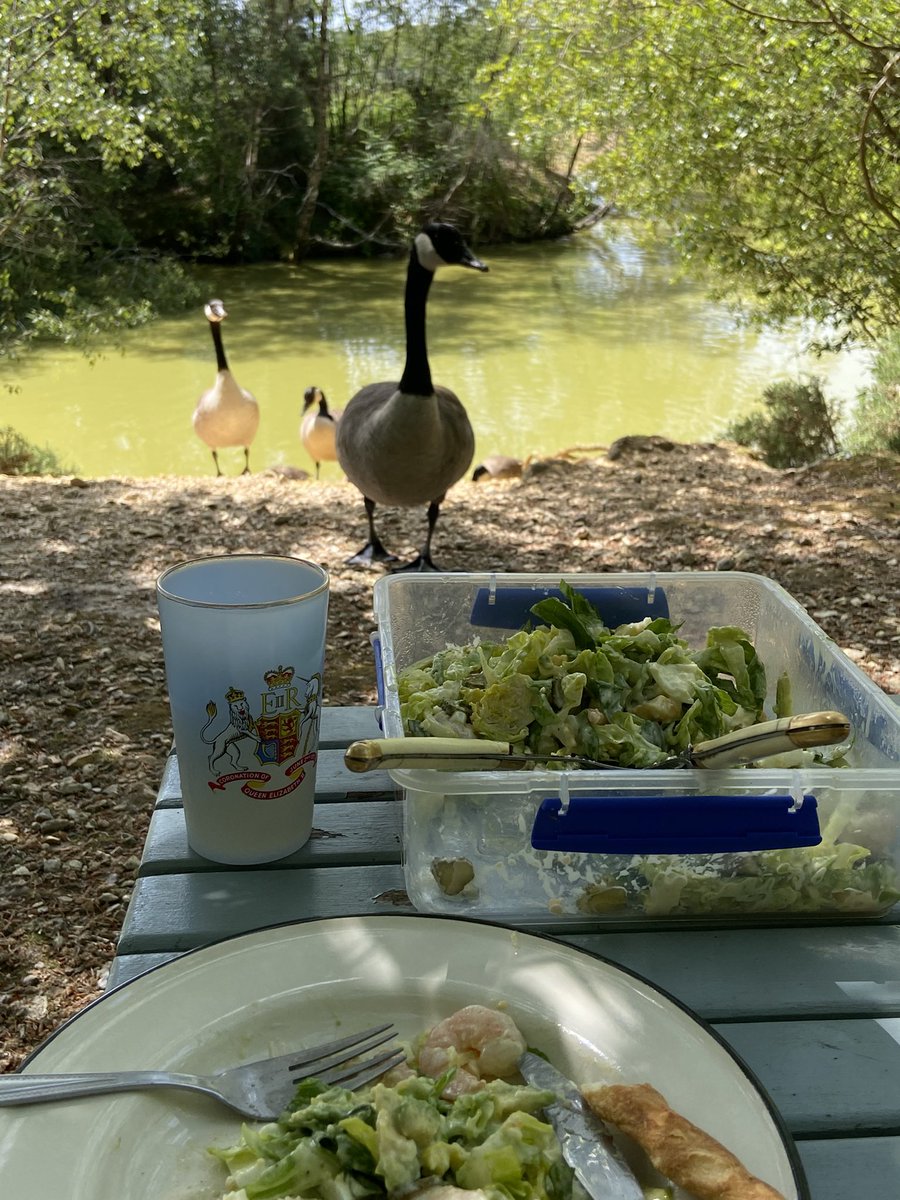 ephemeracity's tweet photo. One extra for lunch today https://t.co/8aWxKo71Cw