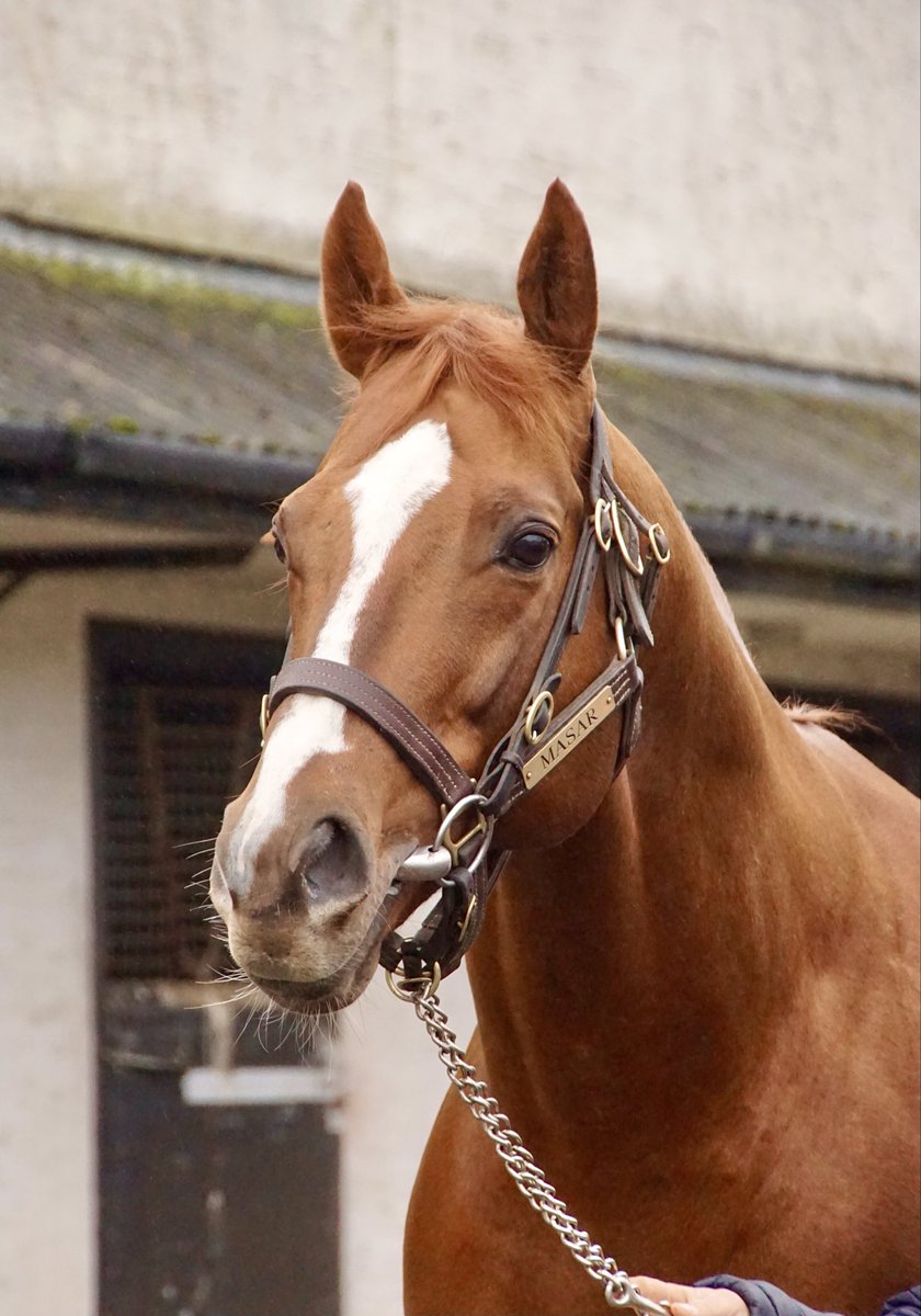 GerryC🏇🏾 tweet media