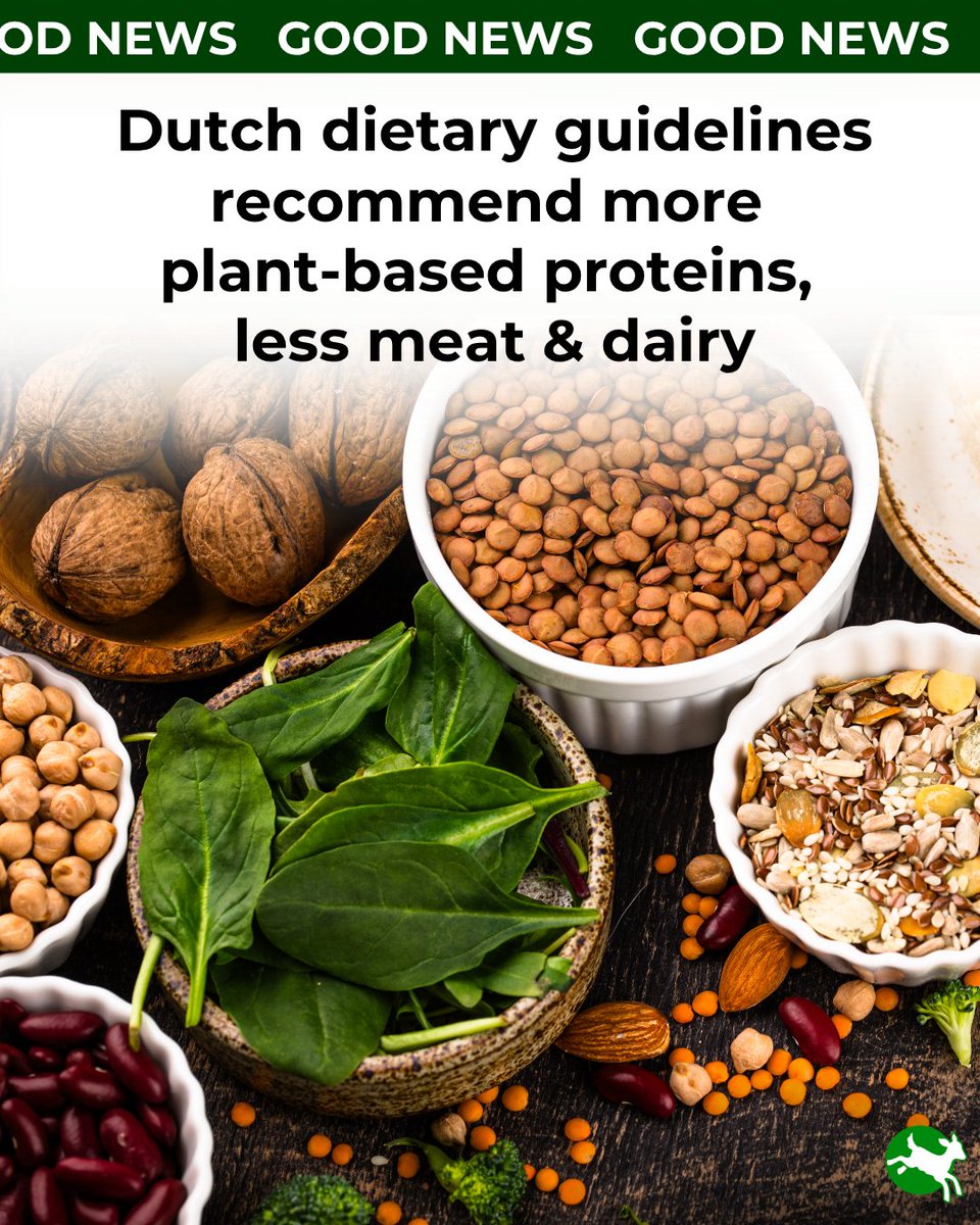 ciwf's tweet photo. The Netherlands has updated its official dietary guidelines – and it’s a major step in the right direction. 🎉

Recommendations include:

🍽️️ Cut meat intake to a max of 300g per week (and only 100g of red meat) 

🧀 Halve cheese consumption

🫛 Eat more plant‑based proteins. https://t.co/mEEr8mMGeY