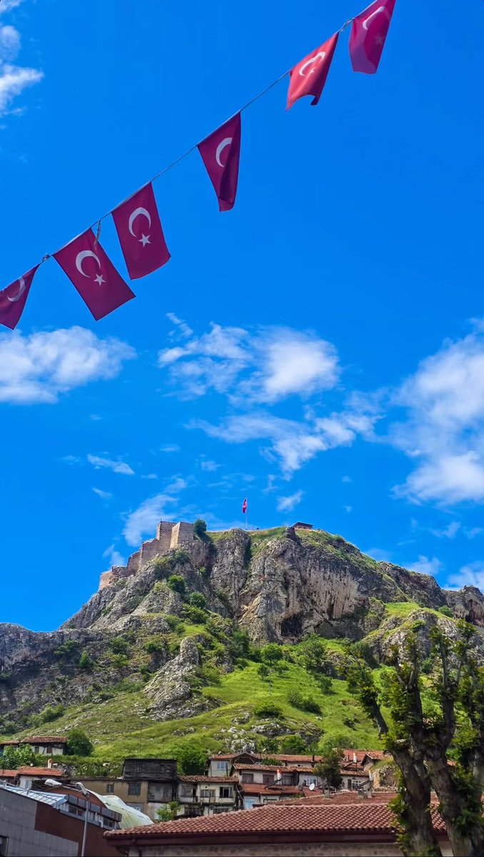 elif tweet media