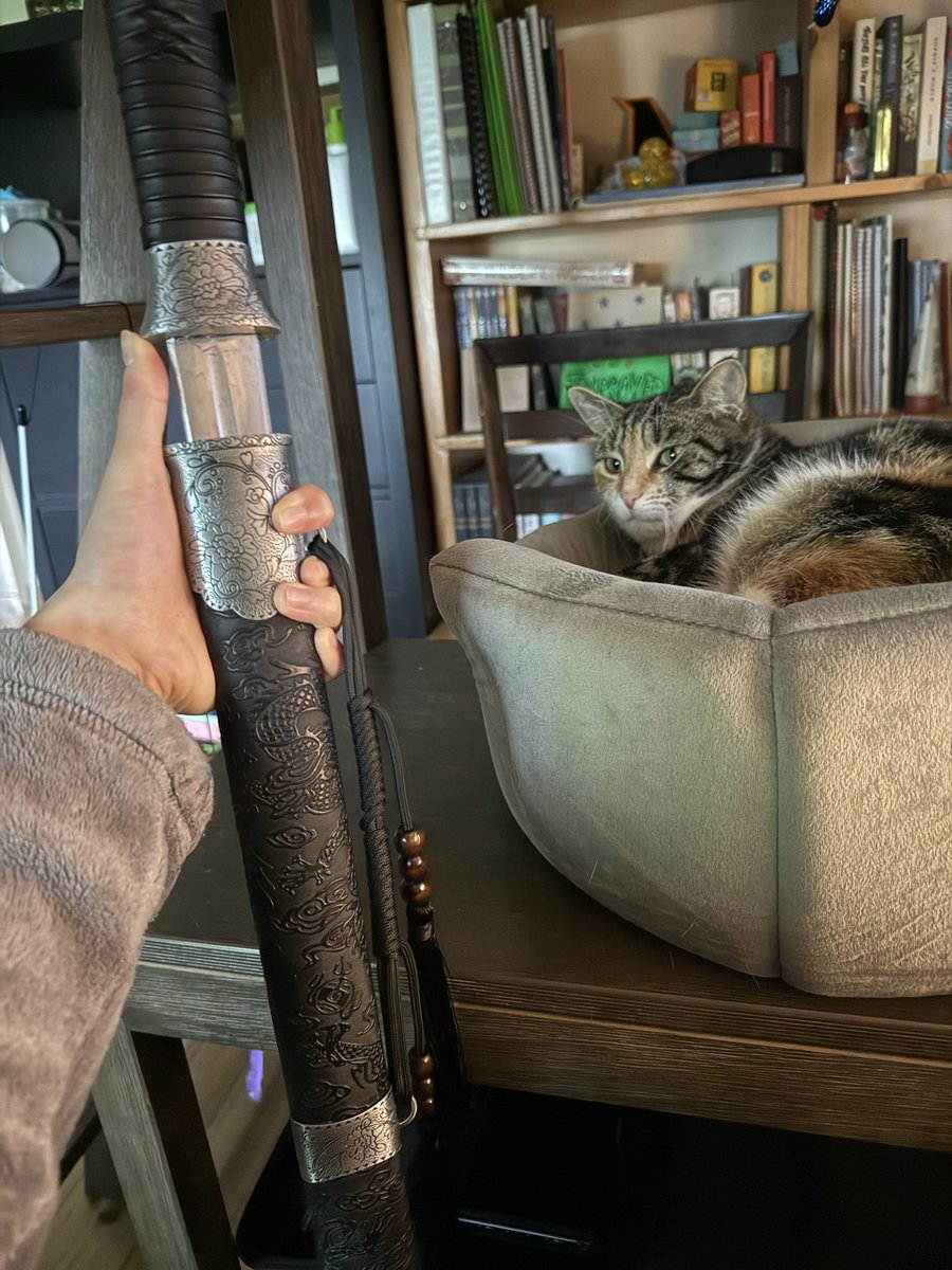 nfflying's tweet photo. chat why did my dad just yell "my package arrived 😄😄😄😄" and handed me a sword https://t.co/nCu0ttF60J