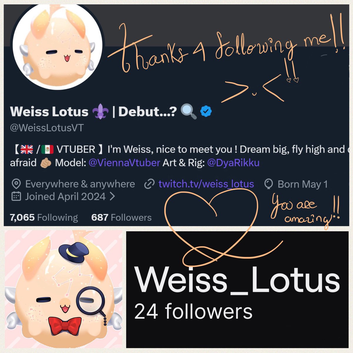 Weiss Lotus ⚜️ | Debut...? 🔍 tweet media