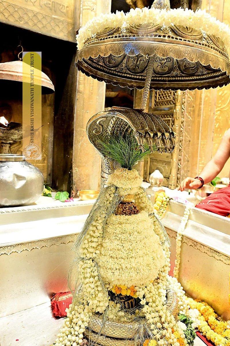 Shri Kashi Vishwanath Temple Trust tweet media