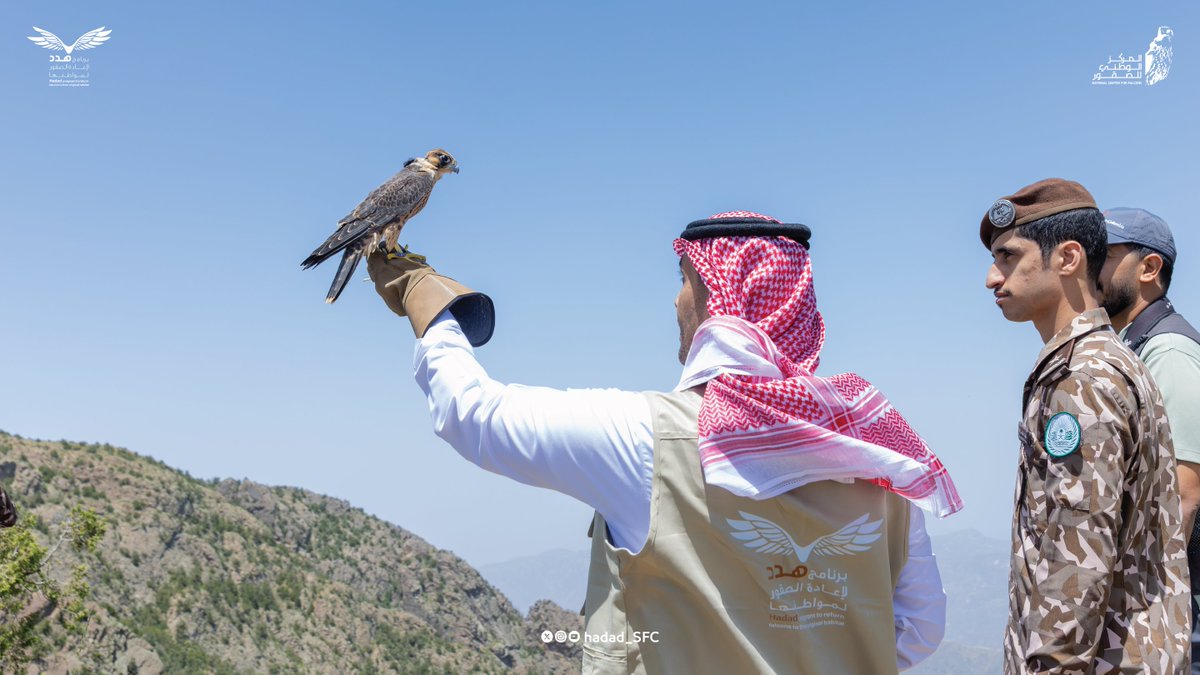 برنامج هدد | Hadad Program tweet media