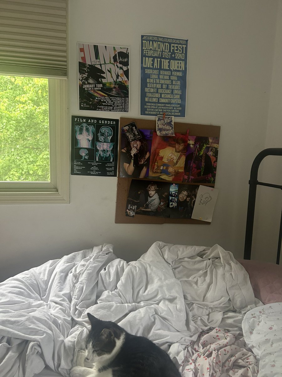 cuckjoshii's tweet photo. @WhaleGGs i’m such a stupid fucking chud (photos on the cork board taken by me) https://t.co/RYlaLzgWtp