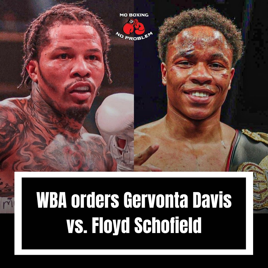 Mo Boxing No Problem tweet media