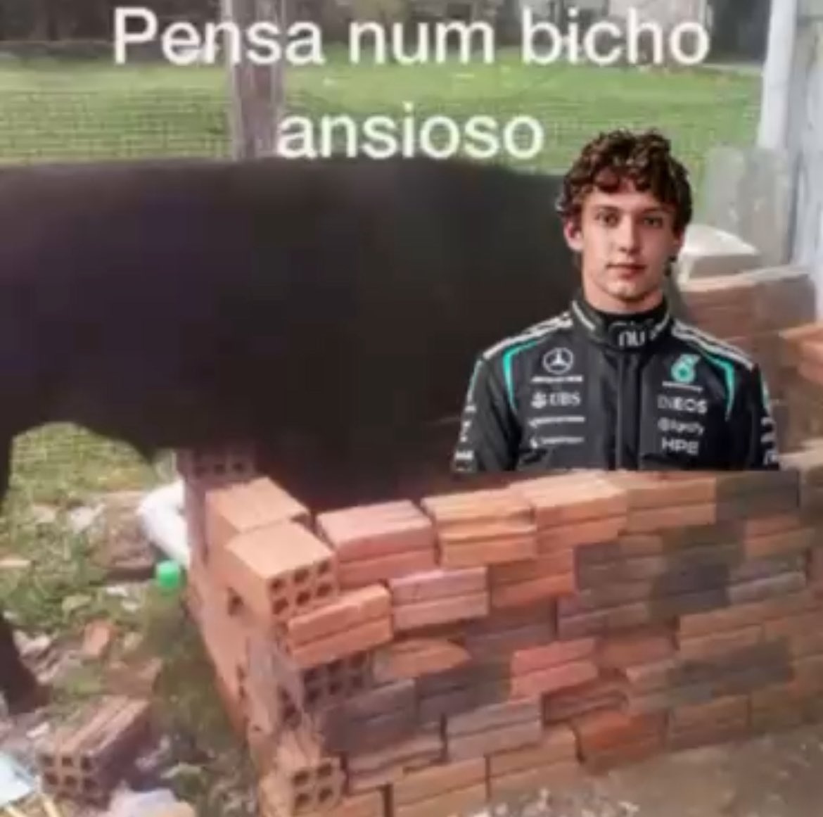 acervo K1MI GOATNELLI tweet media