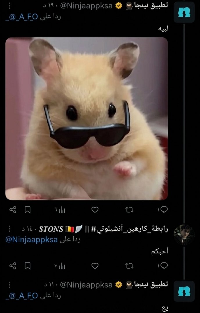 𝑺𝑻𝑶𝑵𝑺 🇧🇪🪽 || #رابطة_كارهين_أنشيلوتي tweet media