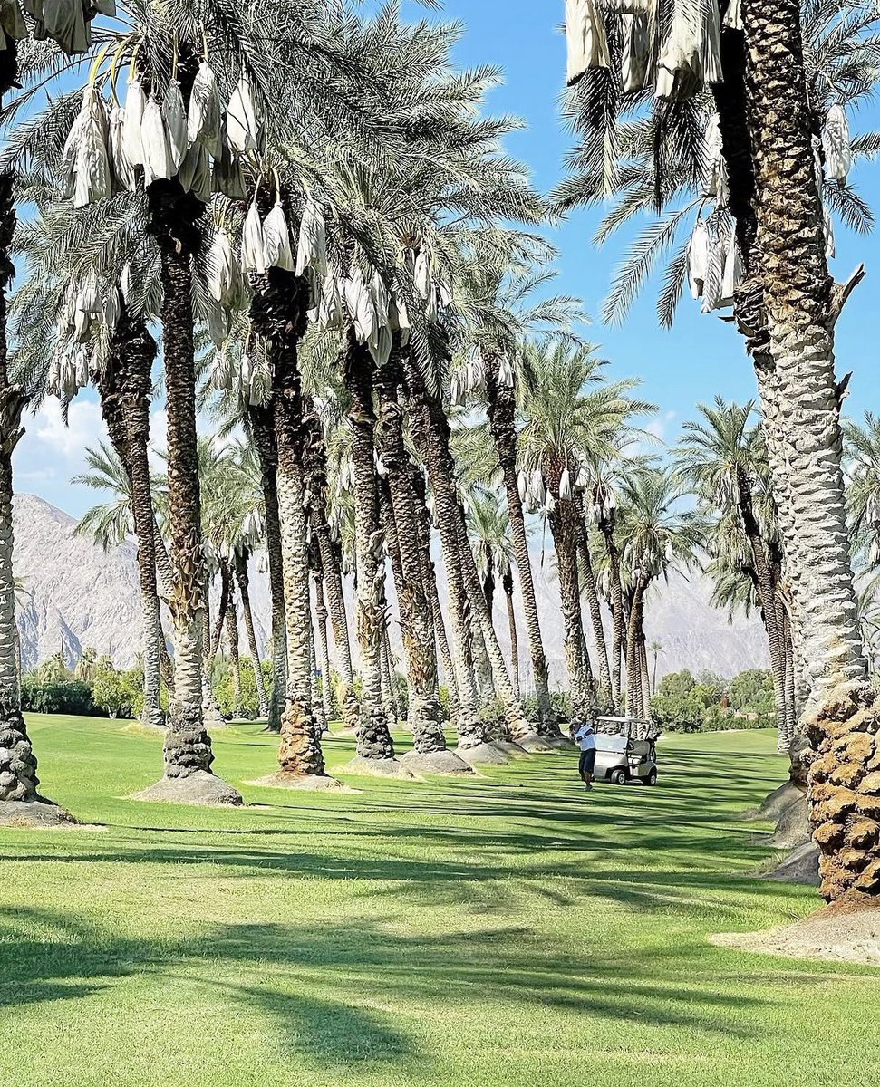 Coachella Valley tweet media
