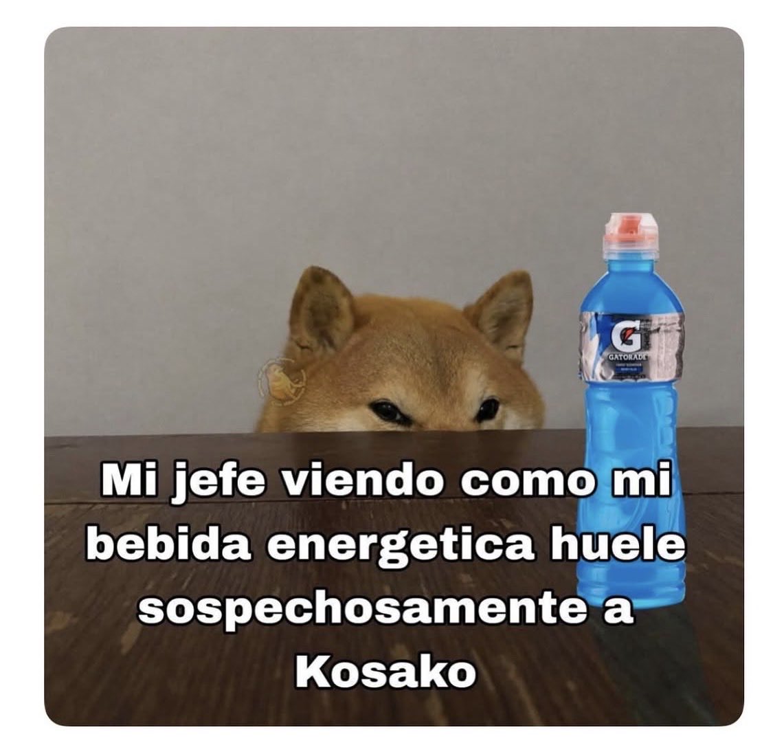 Rafa 𝕏 tweet media