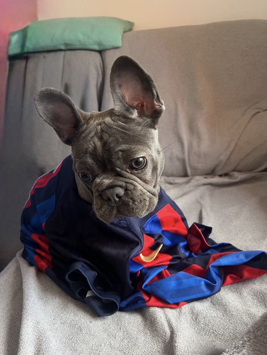 JFrutos_'s tweet photo. La meva culé preferida 🐶🏆🥇💙❤️🥳⚽️ @FCBfemeni @UWCL #fcb #champions https://t.co/J2YnqEkMJJ