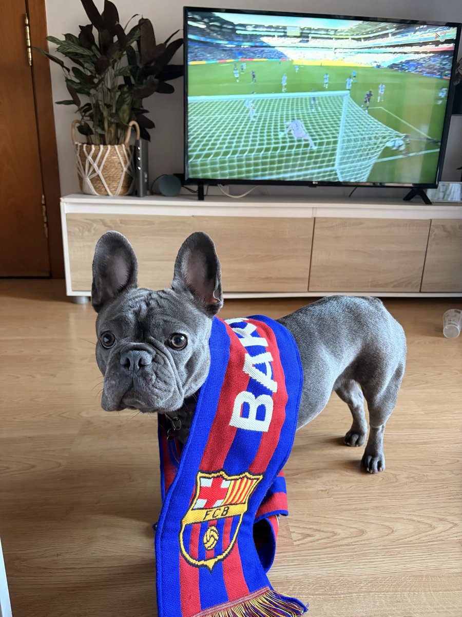 JFrutos_'s tweet photo. La meva culé preferida 🐶🏆🥇💙❤️🥳⚽️ @FCBfemeni @UWCL #fcb #champions https://t.co/J2YnqEkMJJ