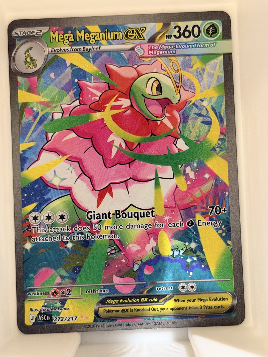 KingHAL TCG tweet media