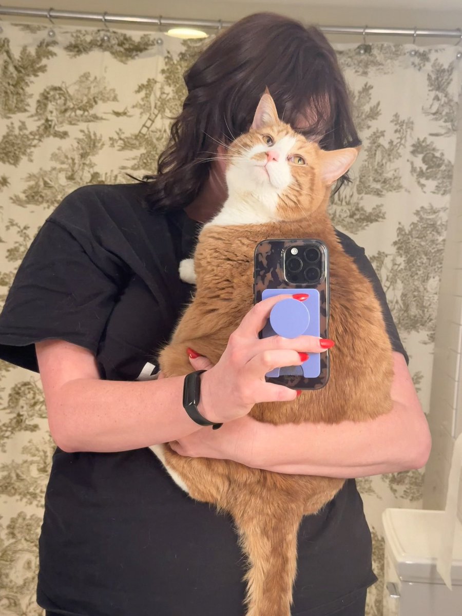 cheddar 🧅 tweet media