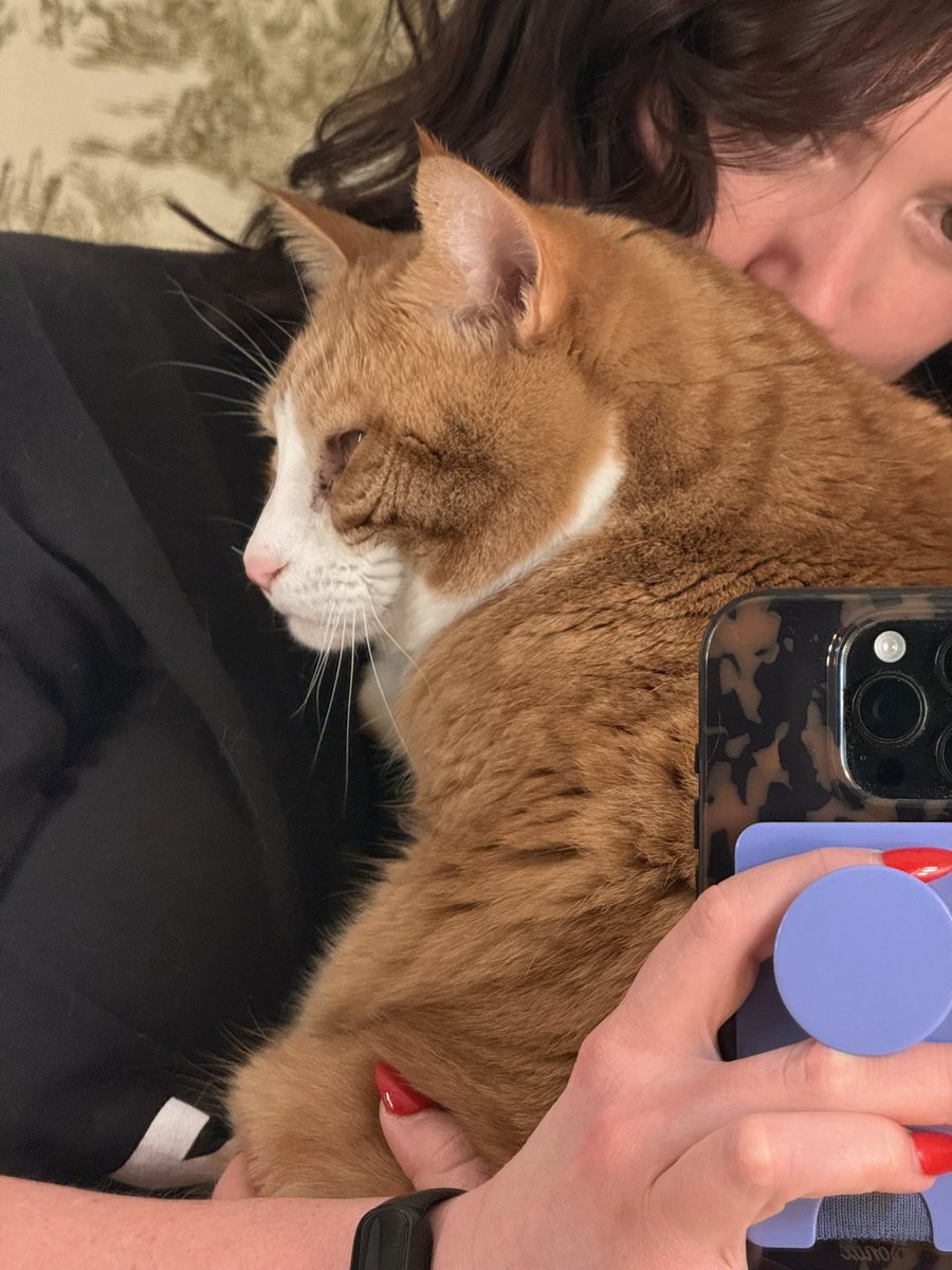 cheddar 🧅 tweet media