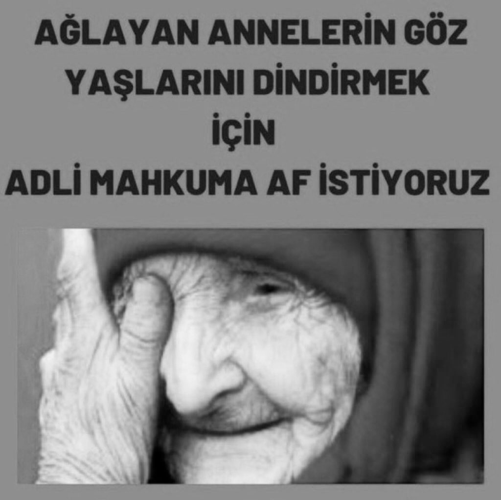 Devin Mutlu tweet media