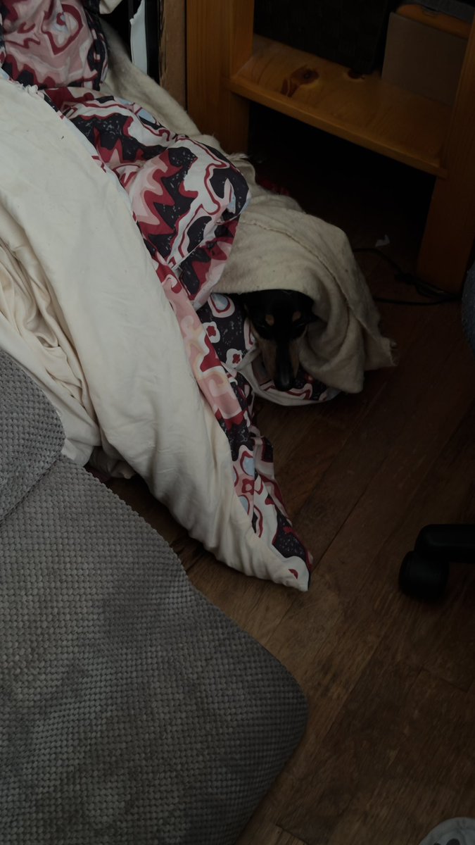 quietguy47's tweet photo. On today’s episode of where’s Bentley. 🤷🏻‍♂️😂 https://t.co/JOSb6G52yv