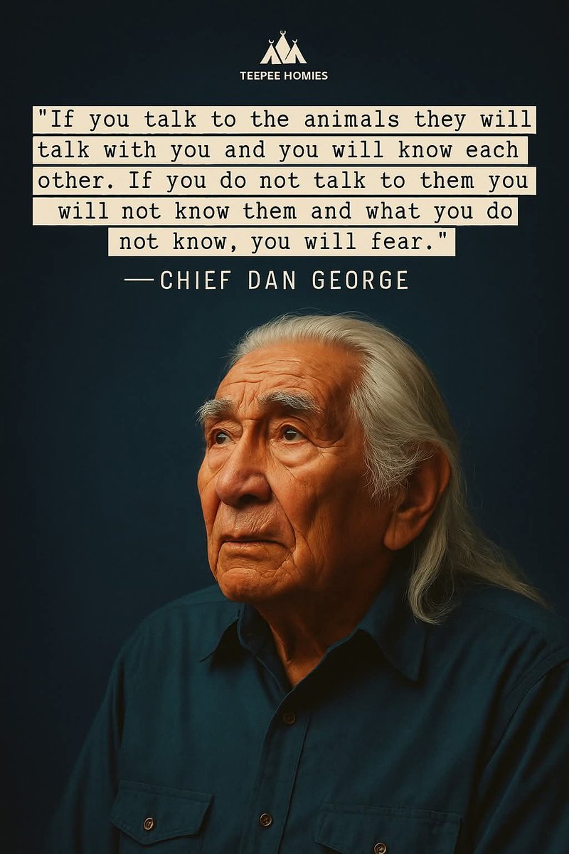 Native American History tweet media