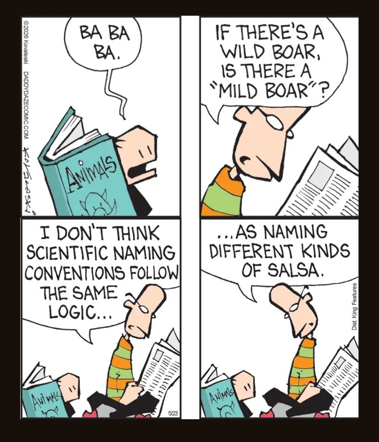 John Kovaleski Cartoonist tweet media