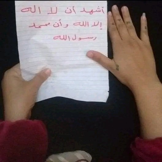 Ahmed Elkady tweet media