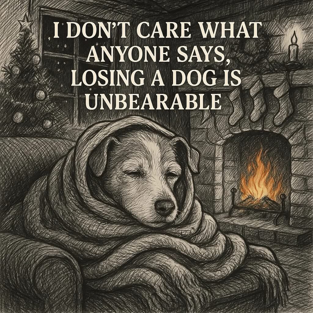 𝕏 Dogs tweet media