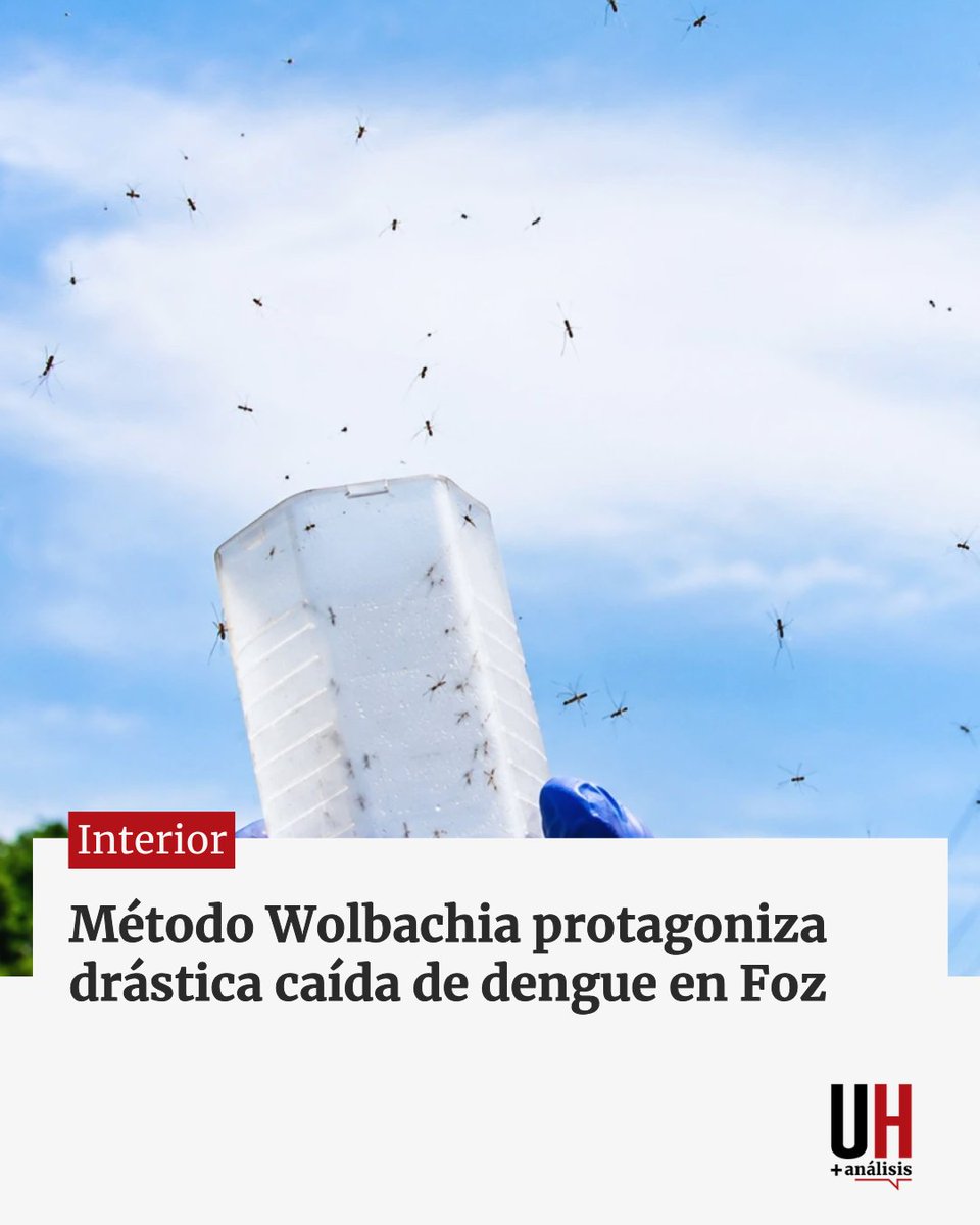 Última Hora tweet media