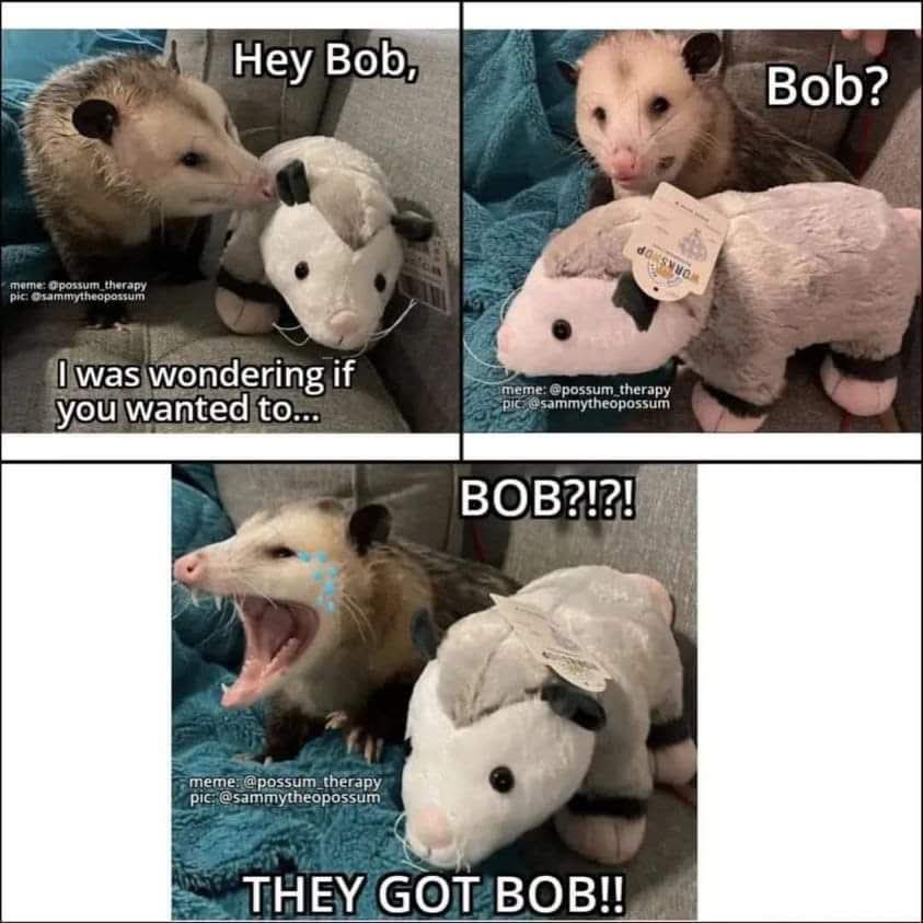 Bobzorz - Dad-opossum tweet media
