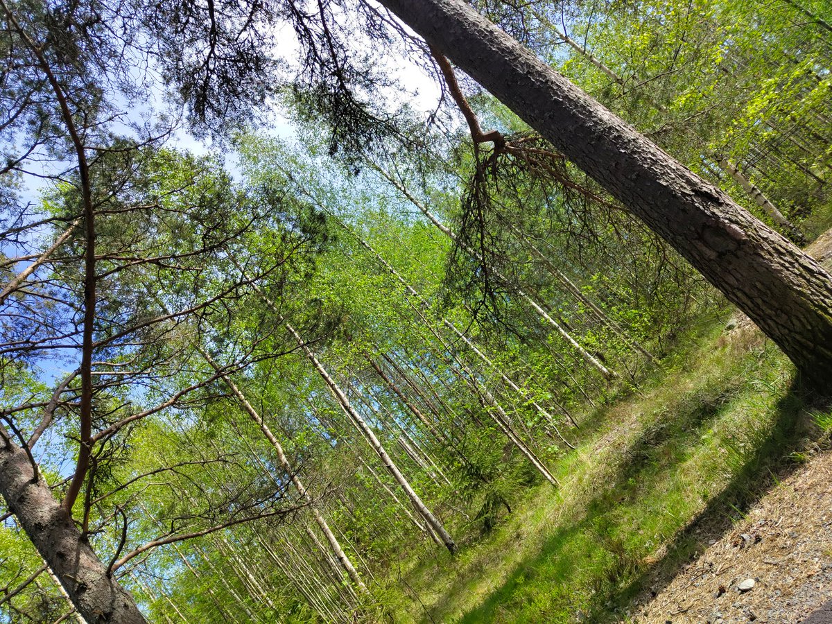 lo 🌞☭ tweet media