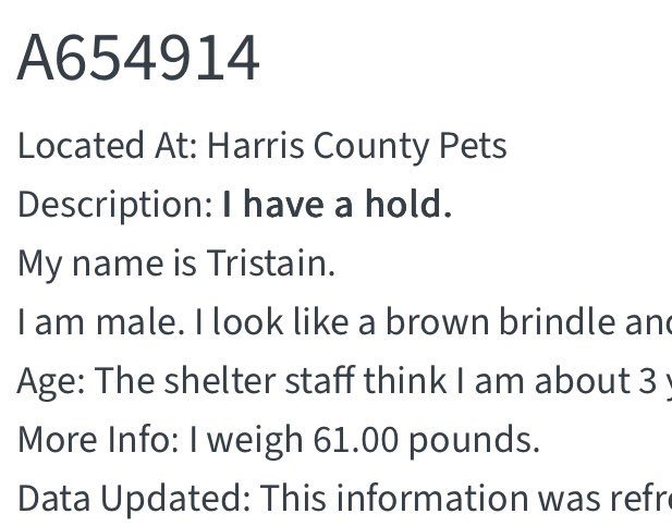 @PawsnTails4TX 🇺🇸🇺🇸🐾🐾 tweet media