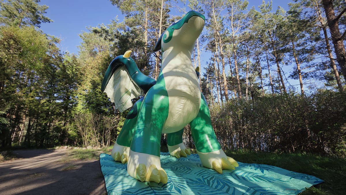 PouncingCheetah's tweet photo. Such a majestic Dragon in the woods. Can't wait to get mine😍

🐉belongs to @ANDZREJ_DRAGO

#SqueakySaturday #inflatable https://t.co/dJhnXpQMTk