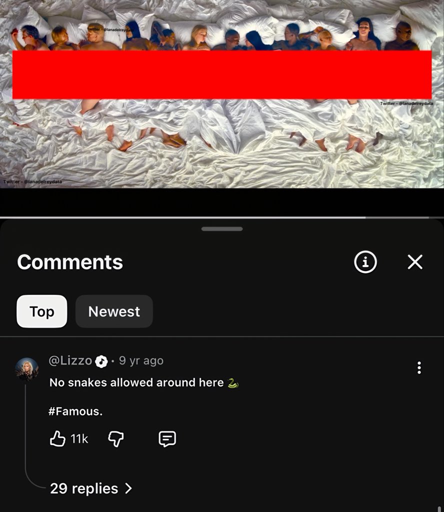 Theo 🐊 tweet media