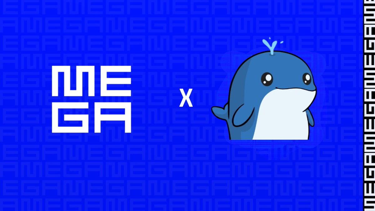 megadaobr's tweet photo. MEGA x Whacky Whales

Apresentamos nossa collab com o @whacky_whales uma nova IP surgindo que cada NFT carrega uma identidade diferente

Supply: 10k
Preço: TBA
Chain: ETH
Data: TBA https://t.co/W7voess50b