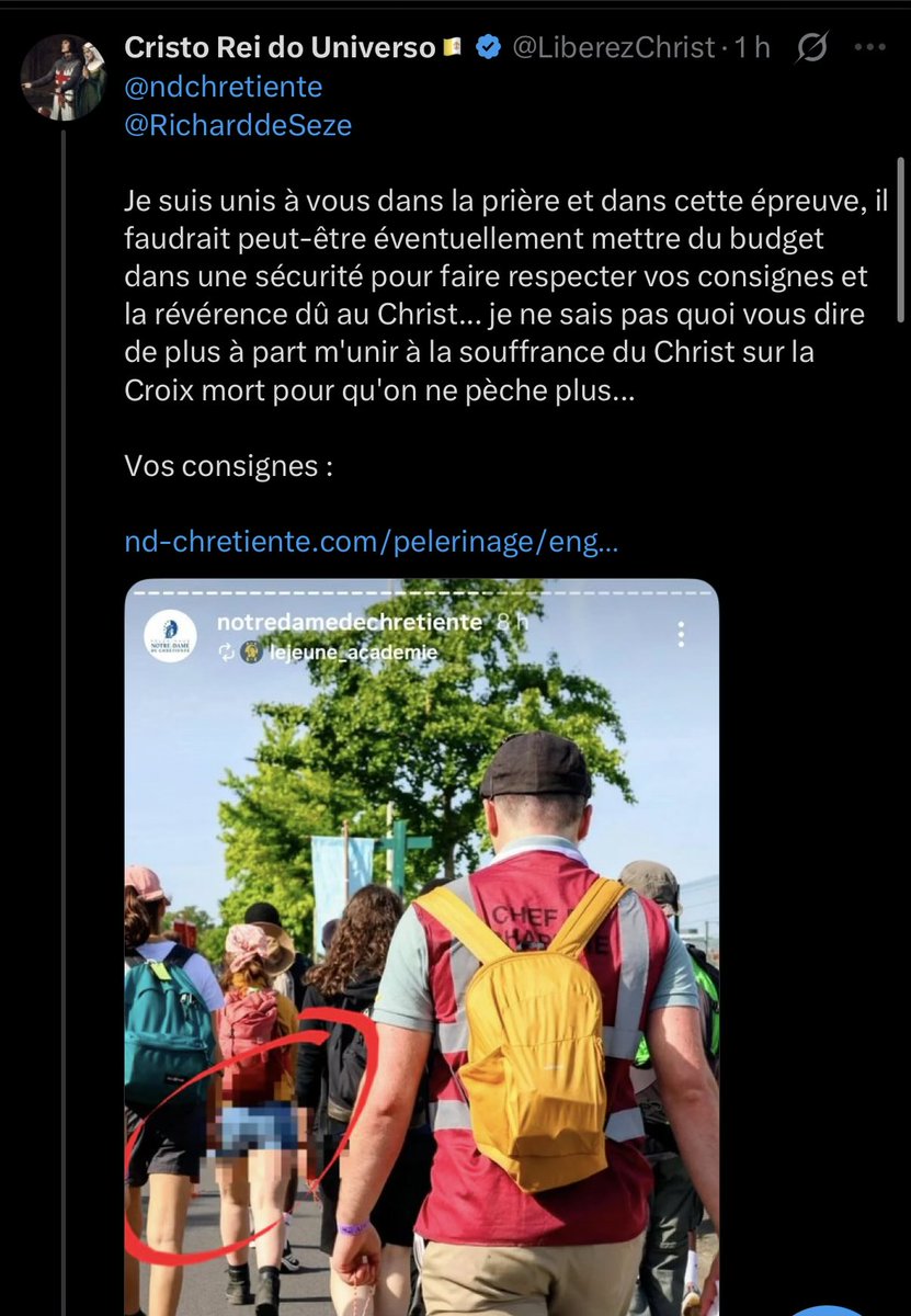 Submit to Rome 🐸🇻🇦 tweet media