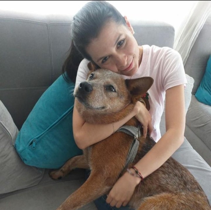 _Viccolu's tweet photo. De verdad que estos angelitos de cuatro patas 🐶 nos inspiran tanta ternura que les hablamos en el idioma del amor como @LuceroMexico 😍 aquí está también la mía 😍 https://t.co/IoGikEWtp2