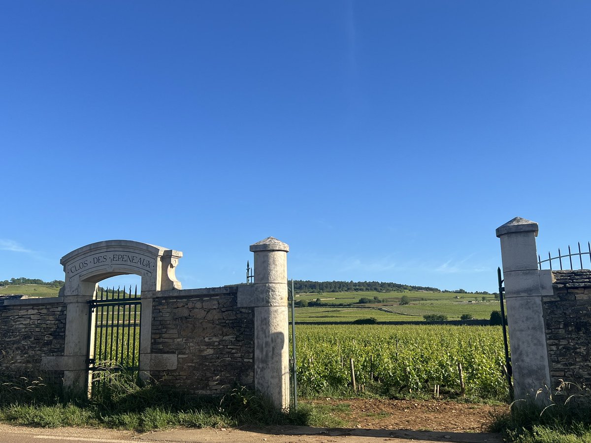PIFux's tweet photo. VIa dies in via Virzelliaca : a Beaune ad Arnay-le-Duc per illustria vigneta et dein per viridantia rura. https://t.co/meXM33NOA7