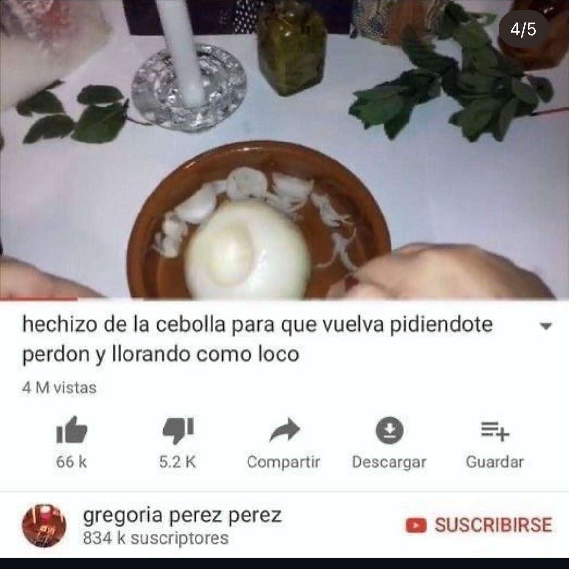 Rolita tweet media