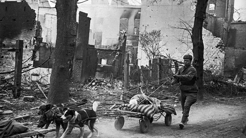 VoicesofWW2's tweet photo. "...making Berlin a city inhabited exclusively by women, children, and the elderly."

Berlin, the May 1945 census.

The census initiated by the Soviet military administration in May 1945 was not a simple collection of statistical data, but a vitally important emergency military security and social control operation.
Counting the population in a destroyed city like Berlin was the only way to avoid total collapse.
In a city where there was no food and the black market was rampant, the census served to calculate how many mouths needed to be fed and to distribute new food stamps based on work categories; those who didn't register didn't eat.
Furthermore, given that thousands of Wehrmacht soldiers, SS members, and Nazi Party officials had removed their uniforms to blend in with the civilians, the census required everyone to declare their identity, current address, and last job, thus allowing Soviet counterintelligence (SMERSH) to cross-reference the data and track down any fugitives.
Last but not least, the city was paralyzed by 75 million cubic meters of rubble. 
Registering the population meant counting the available workforce (especially women) to be conscripted for forced labor, clearing streets and reactivating services.
The data revealed that Berlin had effectively become a "City of Women and the Elderly."
The first practical results of the census in those weeks revealed a shocking demographic reality, later formalized in subsequent official counts in the summer of 1945.
From 4.3 million inhabitants in 1939, only 2.8 million people remained in Berlin. 
One and a half million citizens had vanished into thin air through evacuations, escapes, deportations, and deaths.
The most striking finding was the catastrophic imbalance between men and women. 
In the 20- to 40-year-old age group, men were almost nonexistent (killed at the front or still held in Soviet and Allied prison camps). 
In practice, the census showed that there were approximately 1,700 women for every 1,000 men in the city, effectively making Berlin a city inhabited exclusively by women, children, and the elderly.
In that climate of chaos and fear, the Soviets exploited the few remaining municipal officials and building managers (Hausvertrauensleute). Citizens were required to report to temporary registration centers set up in neighborhoods or fill out forms distributed in apartment buildings.
Giving false statements or attempting to hide carried the risk of being shot on the spot as spies or collaborators, or immediate deportation to labor camps in Siberia.
For Berliners, lining up to be registered by the Soviet victors was the first step—humiliating, yes, but inevitable—to begin living legally again and earning the daily bread they needed to survive.

All the images in the post are part of the series of photos taken by Valery Faminsky.