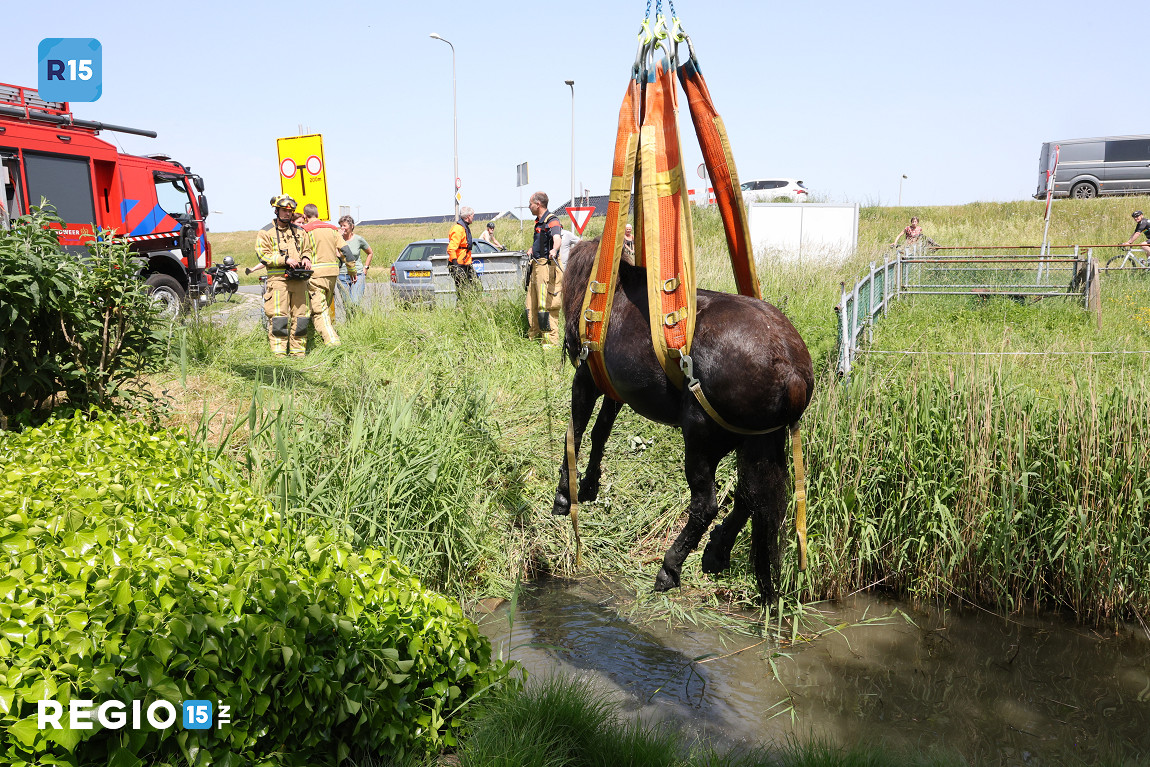Brandweer ingezet voor hulp aan dieren