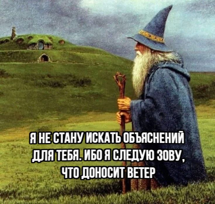 user71214246's tweet photo. В последнее время я увлечена этими мемами с лесными друидами https://t.co/nBLoFxOXMC
