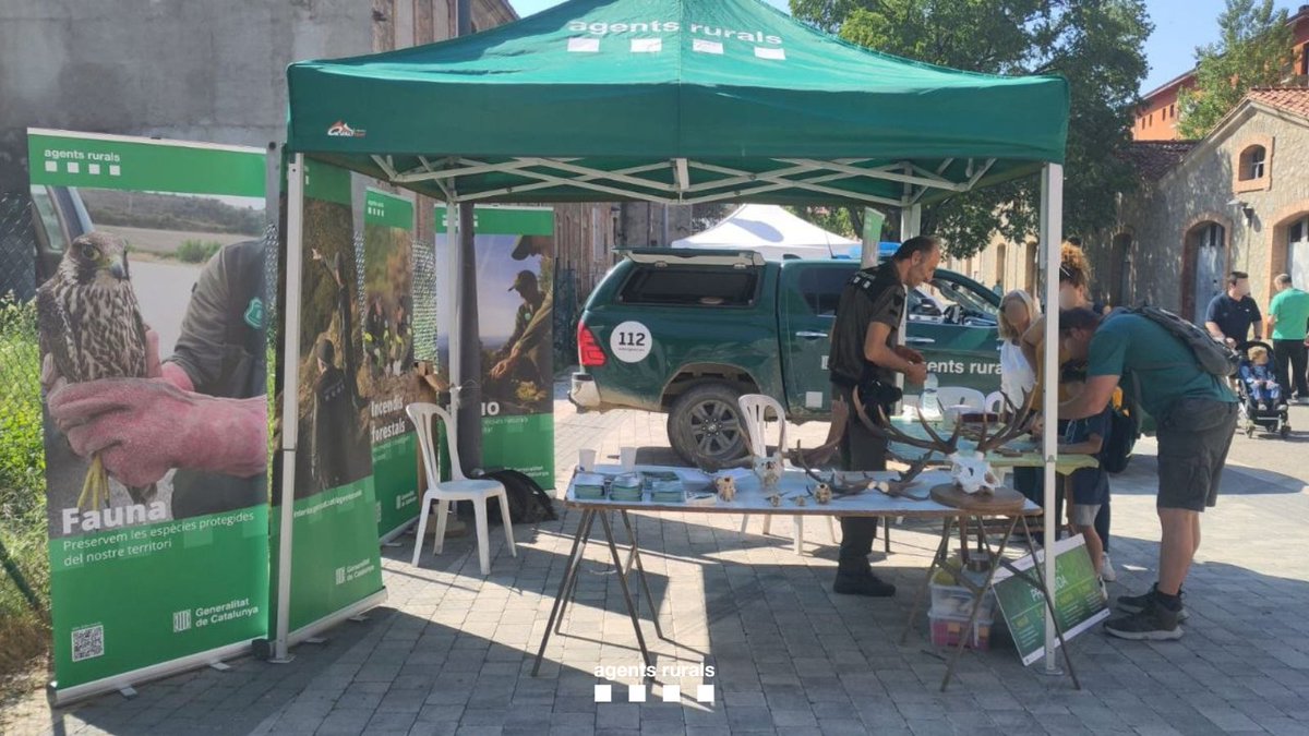 agentsruralscat's tweet photo. 🌱 Avui hem estat a Ripoll, a la #Girocaça, donant a conèixer el nostre paper dins el sector, parlant de la fauna autòctona i resolent dubtes.

🐟 Fins demà també ens trobareu al Festival Mariner Costa Brava de #Palamós amb @AjPalamos

#eduCAR #GSMarí https://t.co/wZi797DzLM
