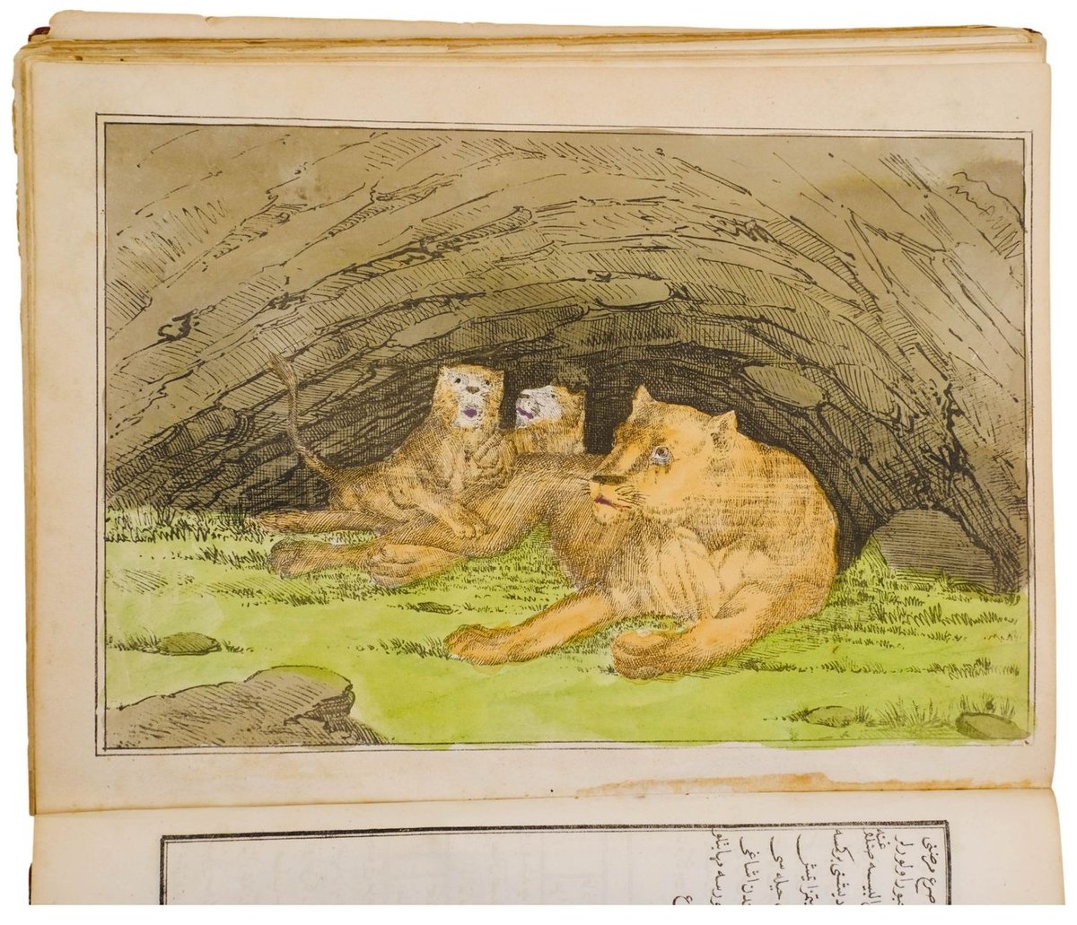 Ottoman Imperial Archives tweet media