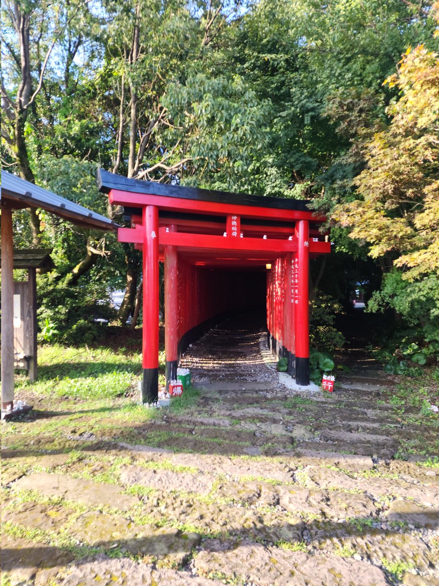 Vaffanculios's tweet photo. @tanpukunokami Kanoya is a cool place https://t.co/hyFSwFU31q