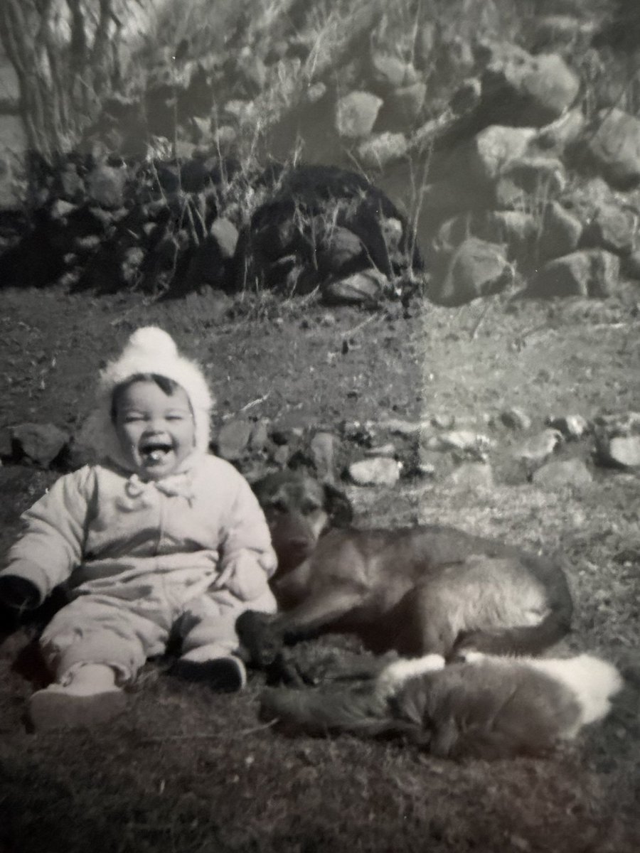 insxmnyac's tweet photo. my mom was such a cutie https://t.co/r7jteFgYYh