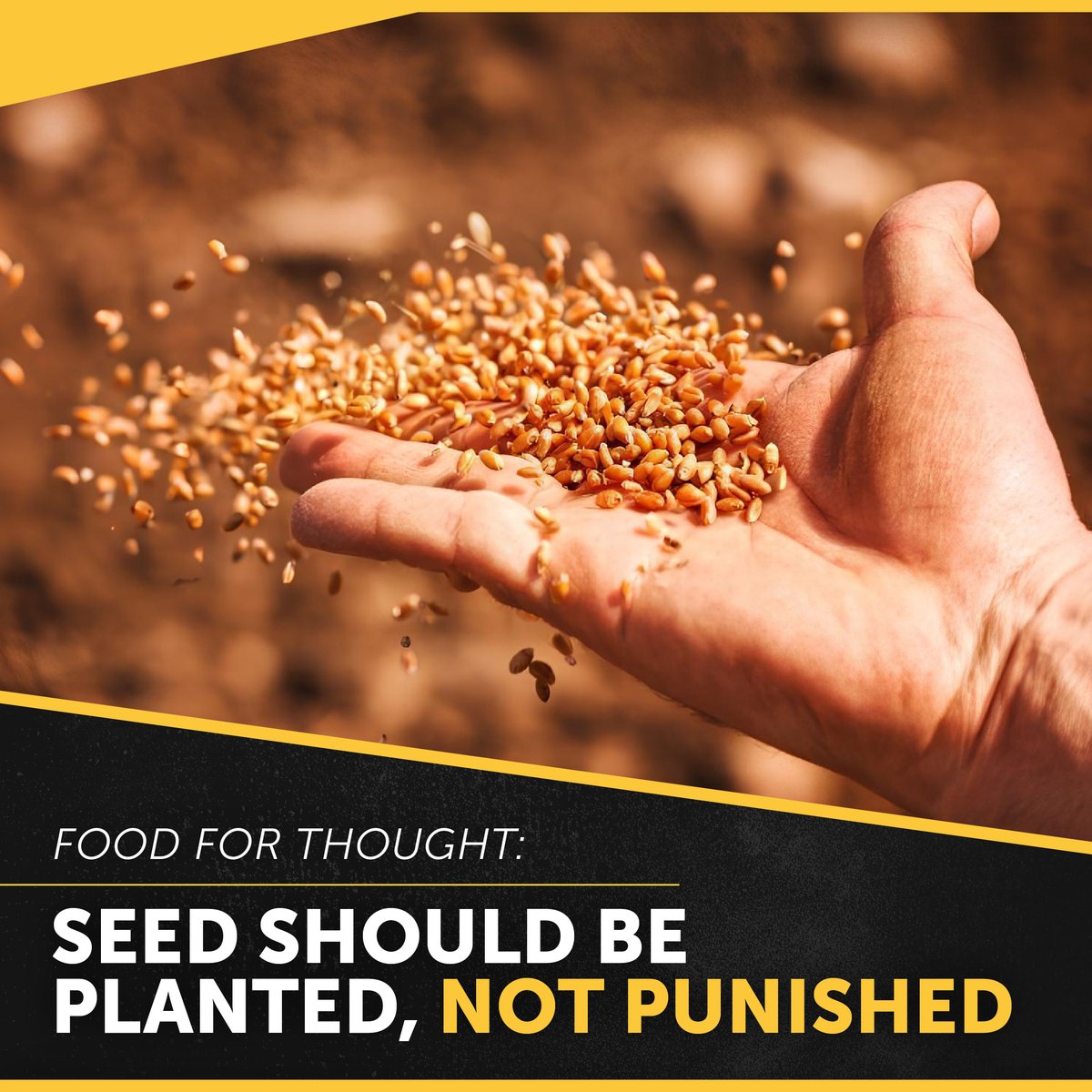SeedMaster Mfg. tweet media